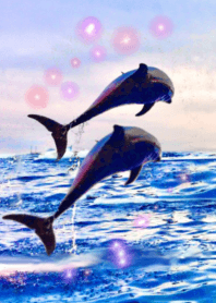 lucky two dolphins