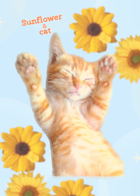 Sunflower cat