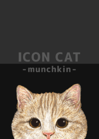 ICON CAT - Munchkin - BLACK/03