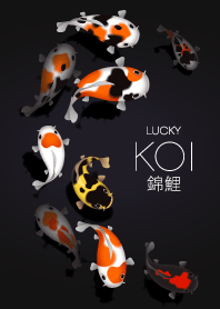 Lucky Koi