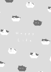 圓圓貓 - gray.