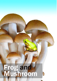 Small frog and mushrooms