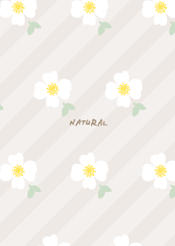 White flowers and leaves pretty19 Japan