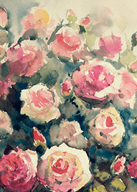 Beautiful rose flower(R4437)