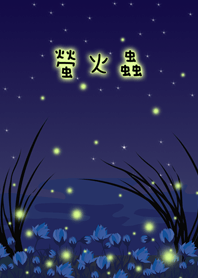 螢火蟲之目光