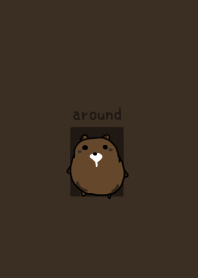 animal friend . frame