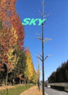 sky 11 roadside autumn
