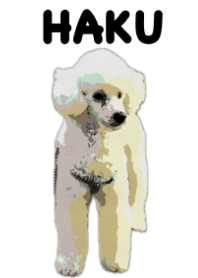 はくくん