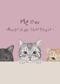 Meow-American Shorthair-DUSTY ROSE PINK