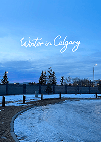 Winter in Calgary (28)
