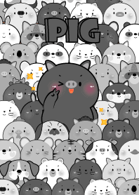 Outstanding Black  Pig theme