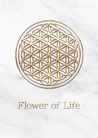 Flower of Life  - Gold (L) - White