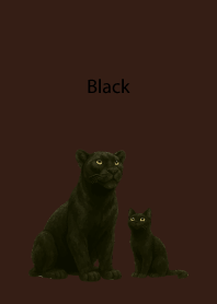 Black Pair03 on brown