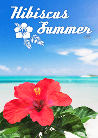 Hibiscus Summer from Japan