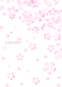 Sakura *cherry blossom*
