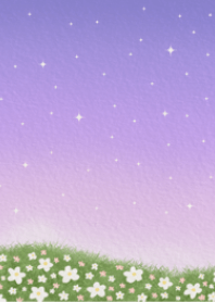 ท้องฟ้า ดวงดาว ดอกไม้