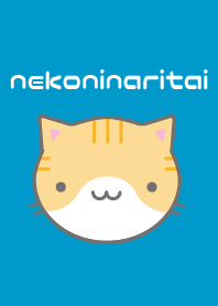 涼しげなねこちゃん着せかえ