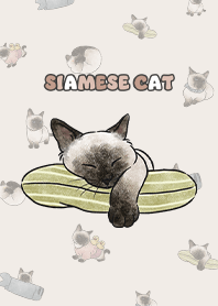siamesecats4 / light cream