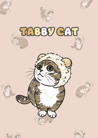 tabbycat7 - sea shell
