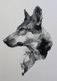 Abstract Wolf Nature