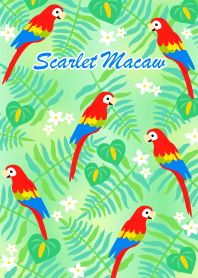 Scarlet Macaw