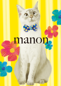 Mr. Manon