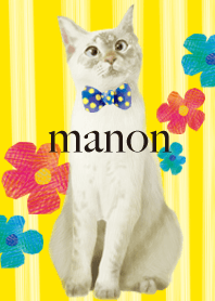 猫のマノンさん