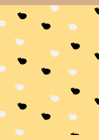 Two tiny cats on B&Y