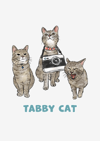 tabbycat11 - white smoke