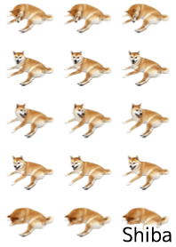 柴犬の日常12【くつろぎ】