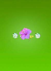 Hue with healing effect 4