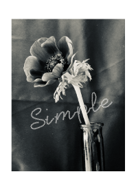 Simple photograph -anemone-