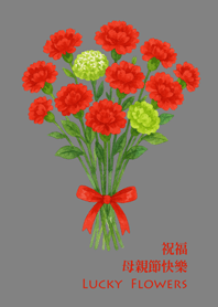 送媽媽一束康乃馨-鐵灰色
