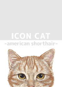 ICON CAT - American Shorthair - GRAY/06