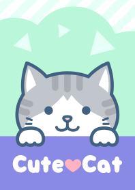 Cute cat(Mackerel white cat)