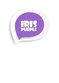 Iris Purple Button In White