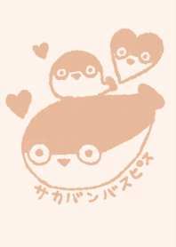 sacabambaspis heart dull color orange