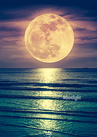 Moonlit night sea