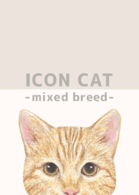 ICON CAT - Mixed breed cat - BEIGE/13