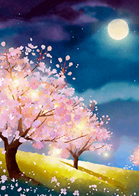 Beautiful night cherry blossoms#492