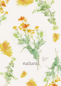 ナチュラルライフにコスモスを添えて・9