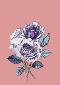 Hand-drawn dull pink rose