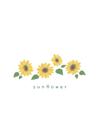 Simple flower/ひまわり(白)