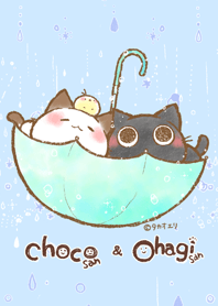 Choco and Ohagi -rainy day-