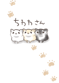簡單 奇瓦瓦.