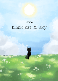 Bad cat and sky