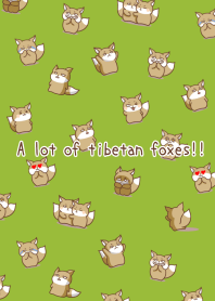 A lot of tibetan foxes!!-LEAF GREEN