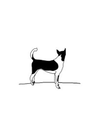 黑白狗