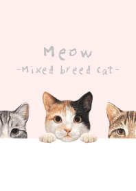 Meow -Mixed breed cat 01- SAKURA COLOR