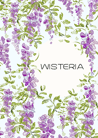 藤棚-wisteria blue-